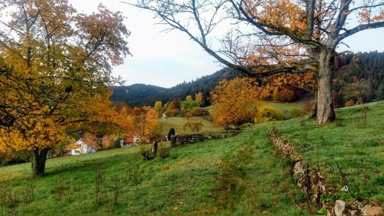Zimmer mit Aussicht Enzklösterle Exterior foto